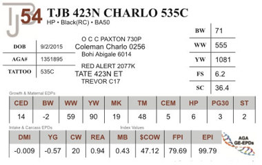 Lot 54 - TJB 423N CHARLO 535C